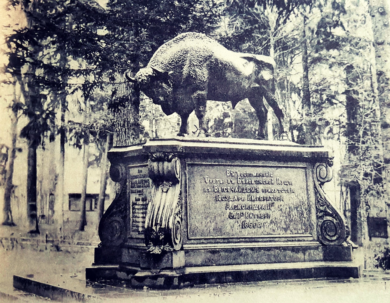 A cast-iron figure of a bison, installed in memory of the hunting of Emperor Alexander II. 1860 From the book 'The Royal Hunt in Belovezhskaya Pushcha. Pages of History'